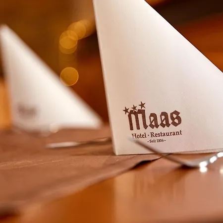 Hotel Hotel-restaurant Maas 3*