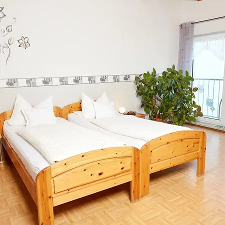 Hotel-restaurant Maas Hotel Lutzerath