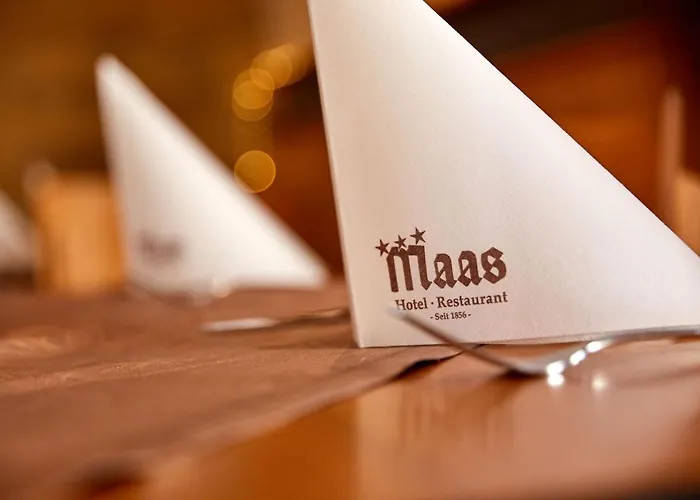 Hotel Hotel-restaurant Maas 3*