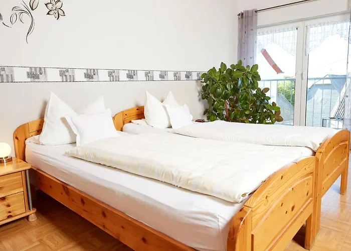 Hotel-restaurant Maas Hotel 3*